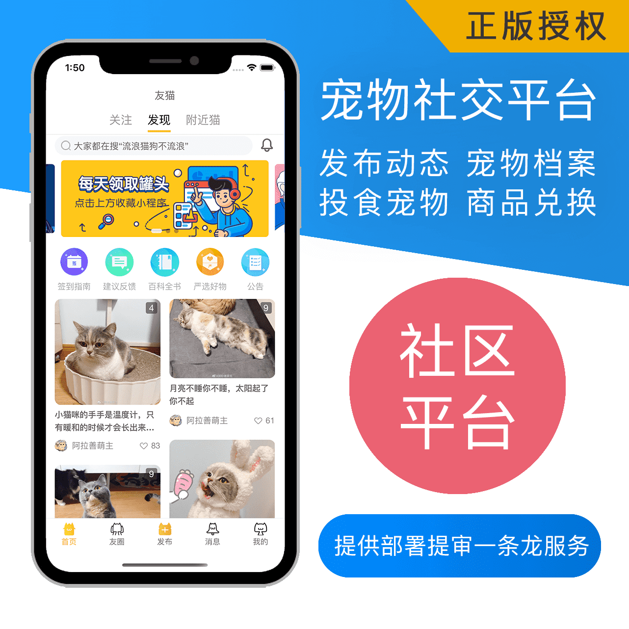 友猫社区